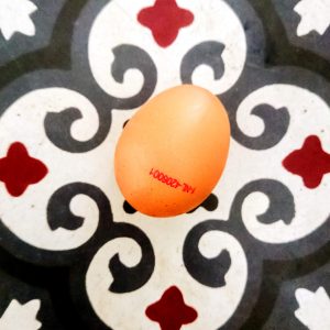 Foto van een ei voor het gedicht "eieren".
